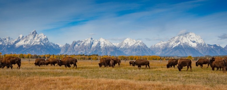 img_4377_71351__medium